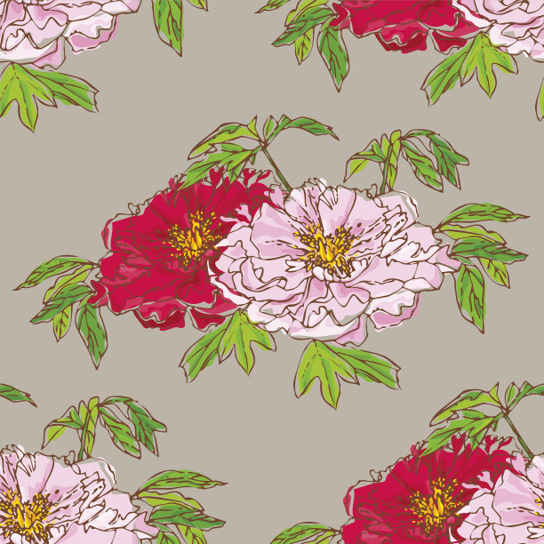 牡丹花图案矢量素材图片下载