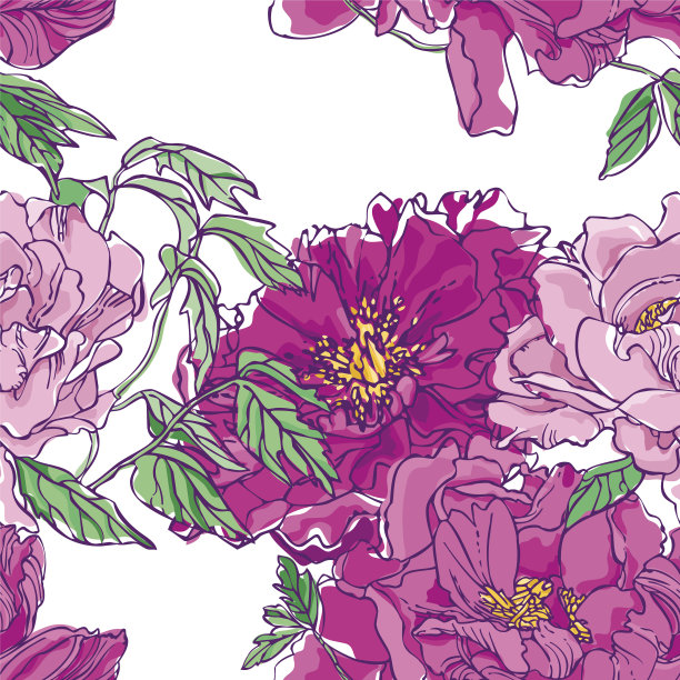 牡丹图案。向量。图片下载