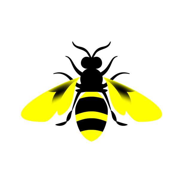 白色背景上的金色蜜蜂子宫。图片下载