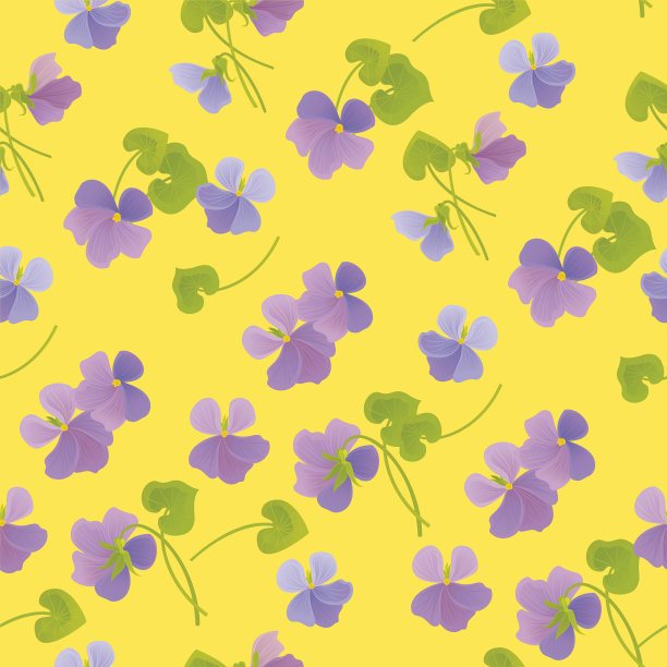 森林紫罗兰。春天的花卉图案。图片下载