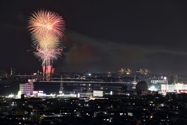 烟花在Oita-shi图片下载