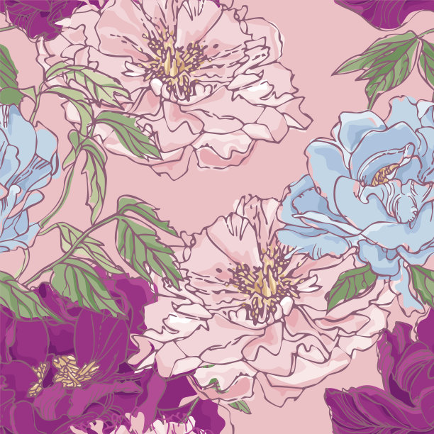 牡丹图案。向量。图片下载