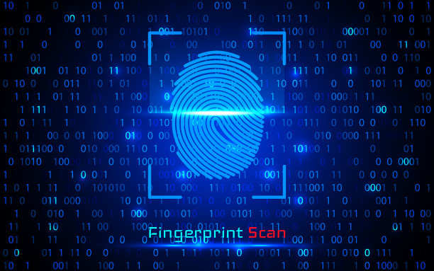 指纹扫描识别系统。生物识别授权和商业安全概念。矢量图图片下载