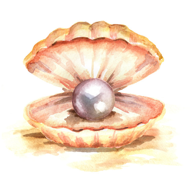 贝壳里的珍珠。手绘水彩插图，孤立的白色背景图片下载