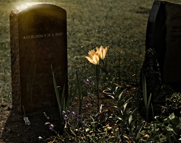 我们身后有记忆和鲜花图片下载