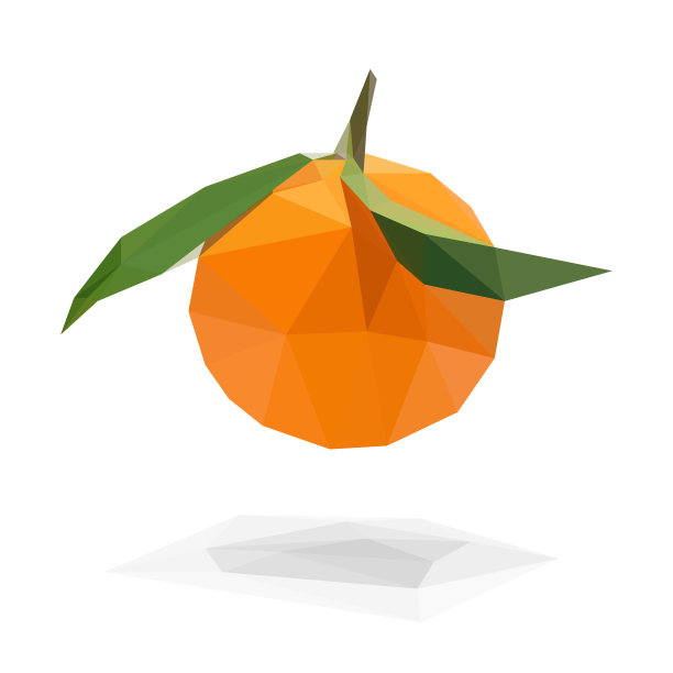 多边形形状的柑橘果实孤立在白色背景图片下载