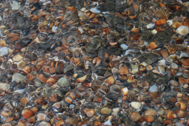 在水中图片下载