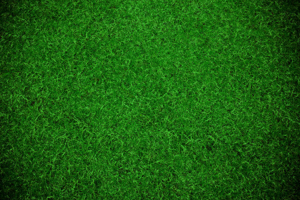 绿草纹理背景图片下载