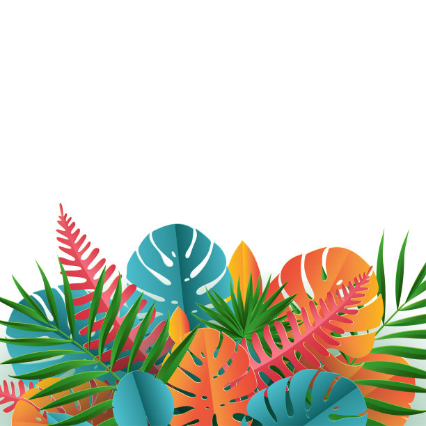 热带纸棕榈，巨叶框架。夏季热带叶。折纸异国情调的夏威夷丛林，夏日背景图片下载