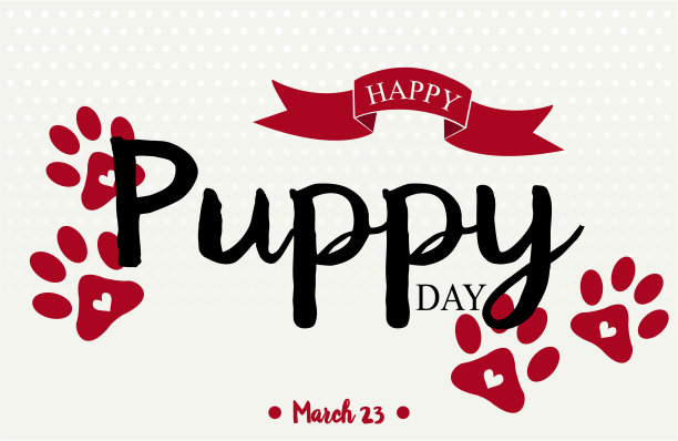 小狗一天图片下载