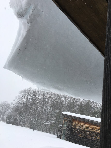 被困在纽约的雪地里图片下载