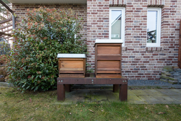 花园蜂箱的正面视图素材图片