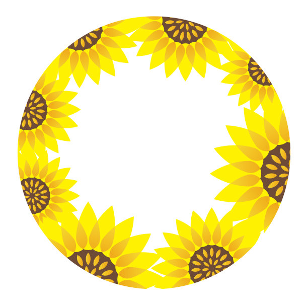 圆形向日葵框架与文本空间。图片下载