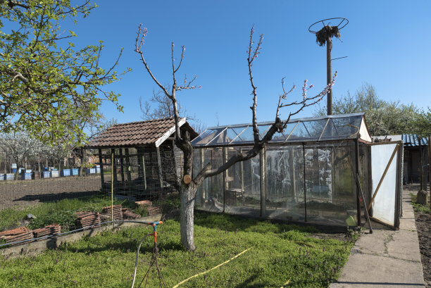 乡村房子后院春天图片下载