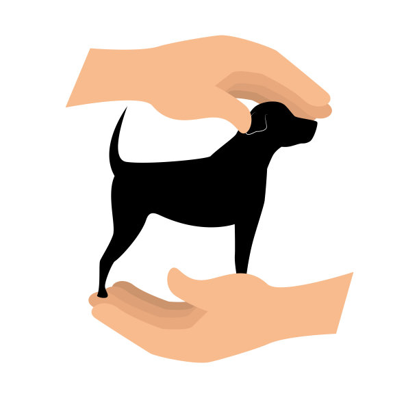 手与狗宠物设计图片下载