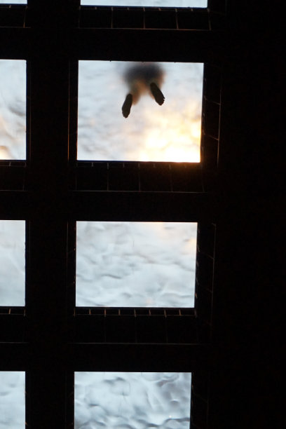 玻璃脚图片下载