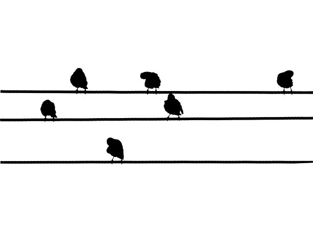 电线上常见的椋鸟。矢量剪影一群鸟图片下载