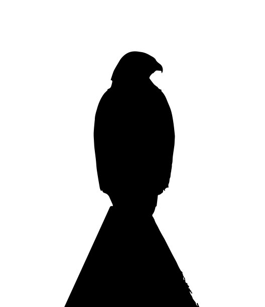 常见的秃鹰(布特奥布特奥)坐在屋顶，剪影素材图片