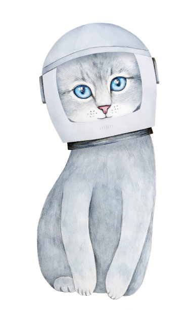 穿着宇航员头盔的虎斑小猫图片下载
