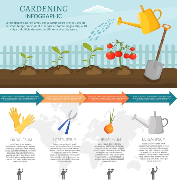 卡通园艺信息图与蔬菜和工具。图片下载