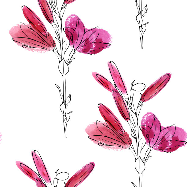 矢量无缝图案与百合花图片下载