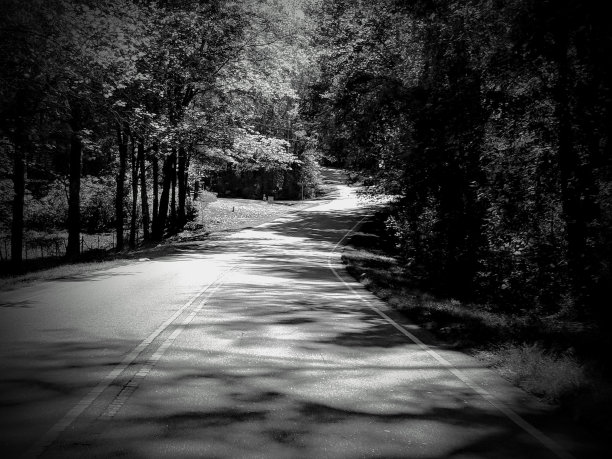 乡村道路图片下载