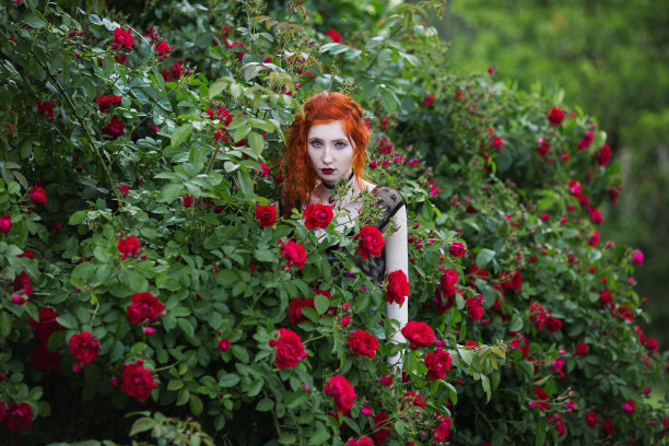 夏日花园中紫色和红色的玫瑰花丛附近，一个长着红头发的哥特式女孩。时尚户外照片。阴沉神秘的鬈发女人被鲜花环绕着图片下载