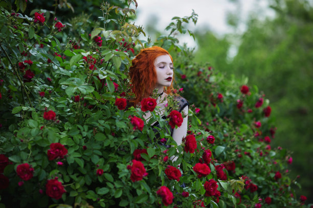 夏日花园中紫色和红色的玫瑰花丛附近，一个长着红头发的哥特式女孩。时尚户外照片。阴沉神秘的鬈发女人被鲜花环绕着图片下载
