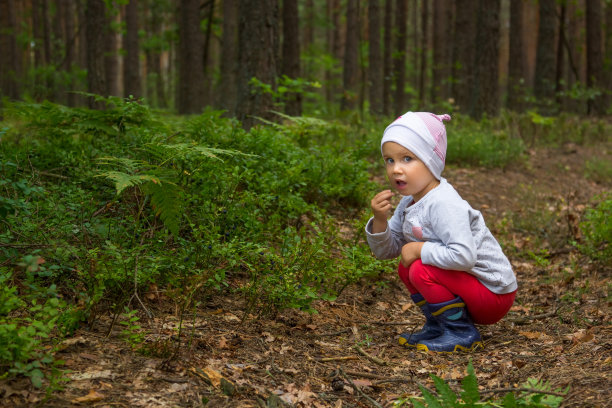 一个小女孩在针叶林里吃蓝莓。图片下载