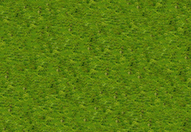 背景纹理为天然木材，以绿叶为天然生物基础的地毯苔藓图片下载