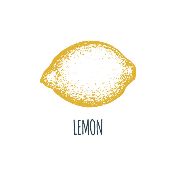 手绘柠檬在白色的背景。水果矢量图。素食草图。农业市场的产品。图片下载