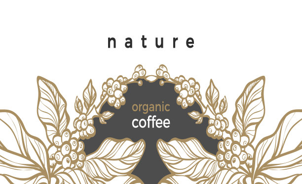 咖啡树树枝模板。矢量图图片下载