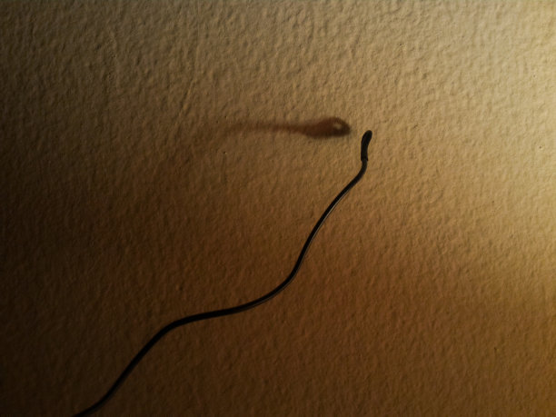 寻找灯图片下载