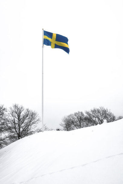 瑞典的国旗图片下载