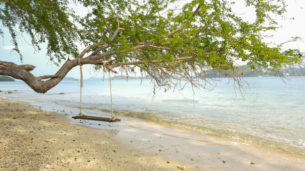 沙滩上的木制秋千图片下载