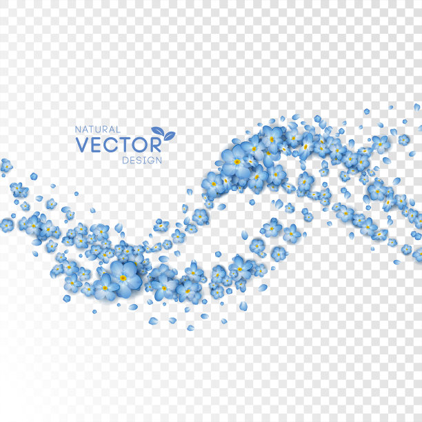 蓝飞的花朵图片下载