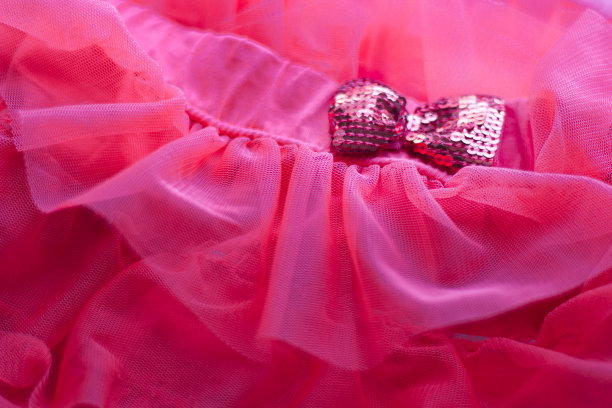 带有缎带亮片的欧根纱织物图片下载