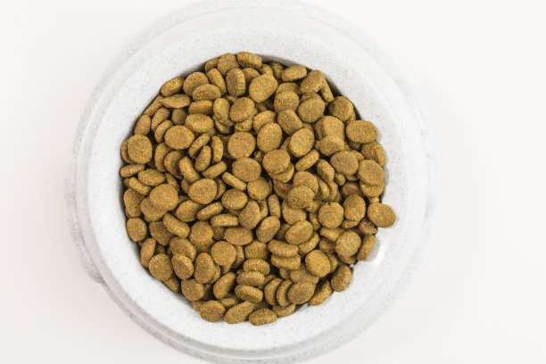 狗食碗图片下载