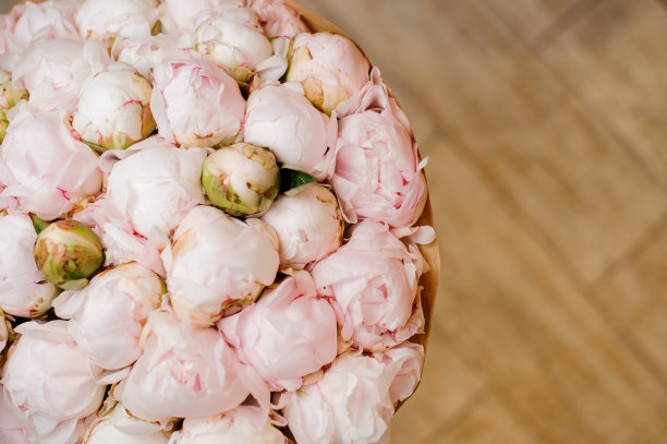 一束粉红色的牡丹素材图片