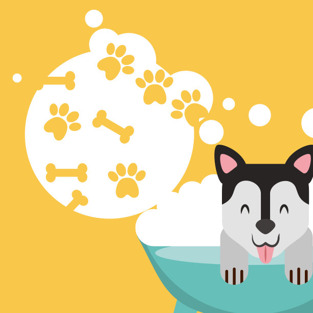 爱狗的宠物素材图片