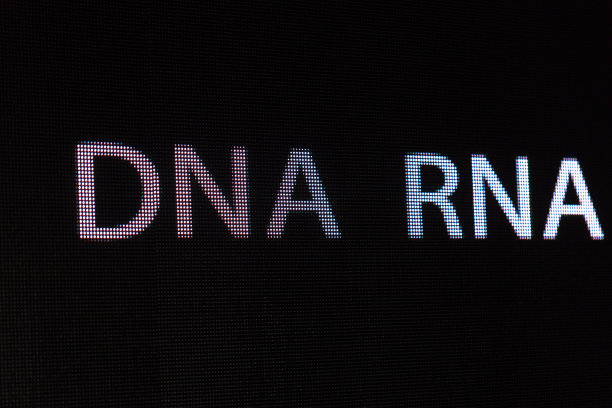 DNA RNA字母在LED大屏幕上图片下载