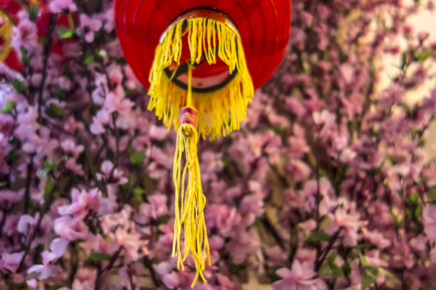 春节彩灯图片素材ID：315486912