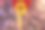 红灯笼映衬着粉红色的花树素材图片