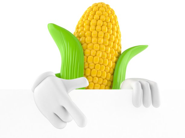 白墙后的玉米性状图片下载