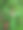 绿色草地上的野花图片下载