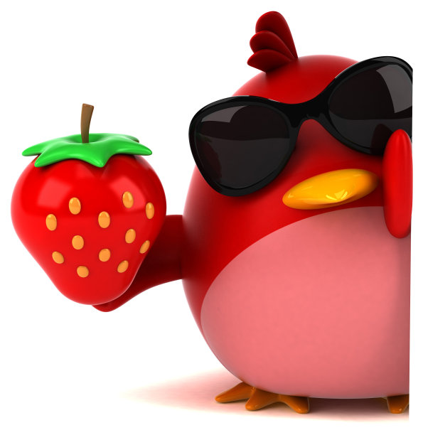 红色的鸟- 3D插图图片下载