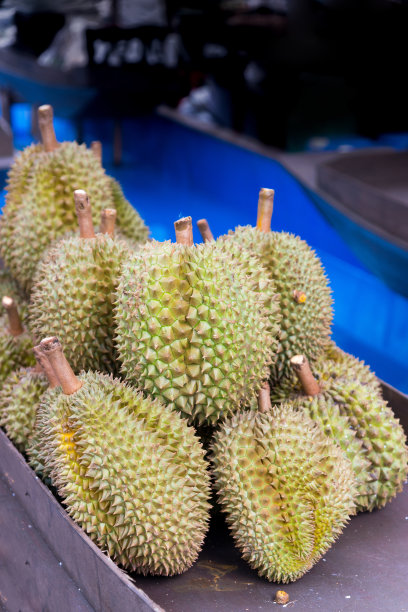 榴莲食物图片素材ID：315509556