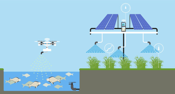 在地里种植植物。图片下载