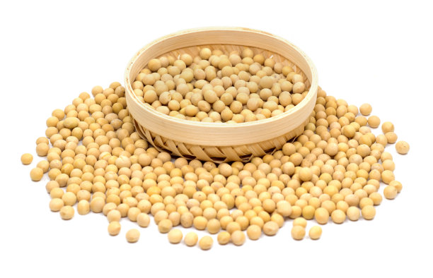 白色背景下大豆分离物的微距拍摄。图片下载