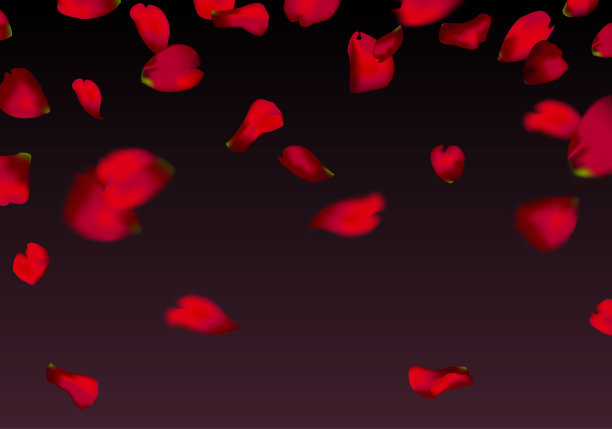 红色樱花或玫瑰花瓣飘落图片下载
